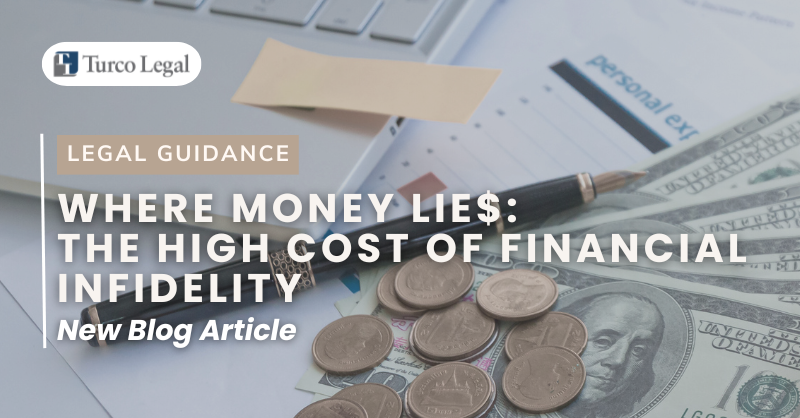 Where Money Lie$:  The High Cost of Financial Infidelity
