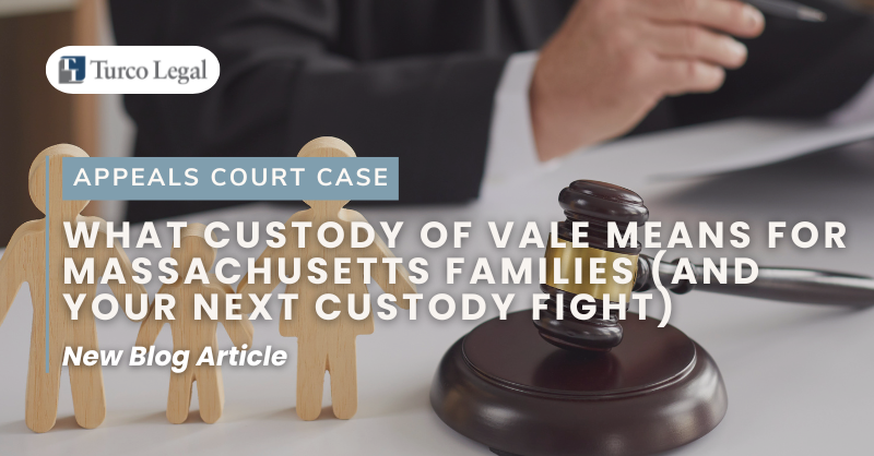 custody of vale appeals court case